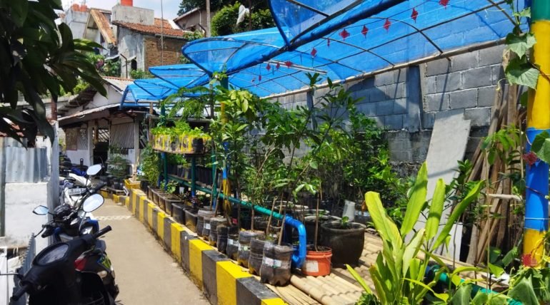 Deretan tanaman dalam pot di bawah atap paranet biru, di sepanjang gang permukiman